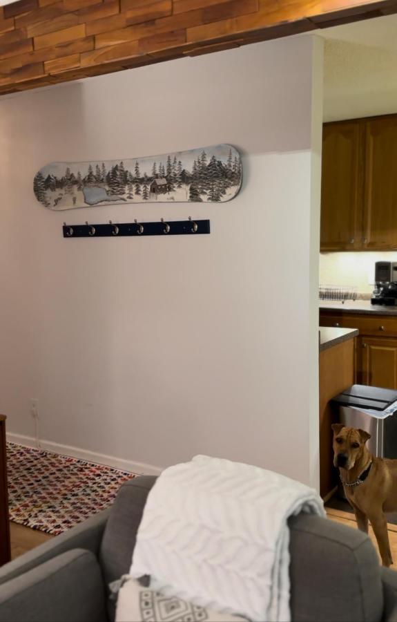Beaver Creek 2 Bed 2 Bath Condo 1 Min Walk To Elk Lot Avon Exteriör bild